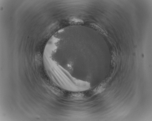 X0000076270659200610122256