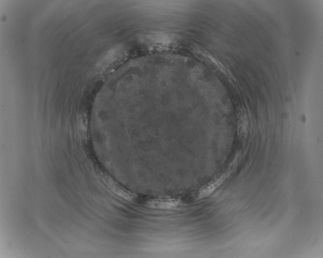 X0000076270661200610122256