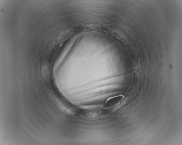 X0000076270662200610122256