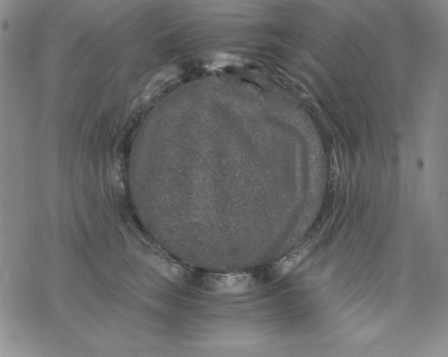 X0000076270663200610122256