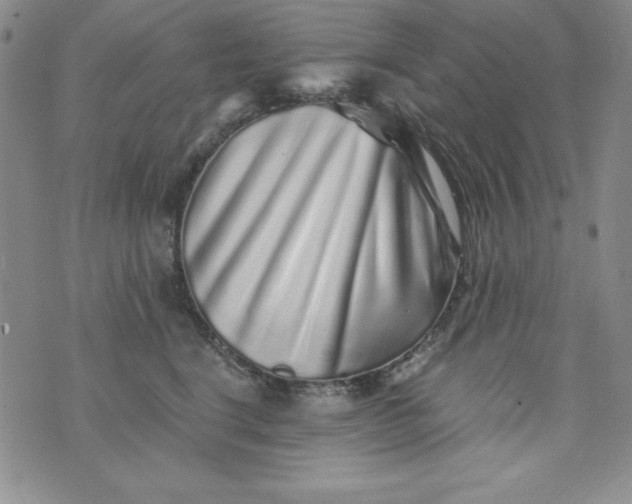 X0000076270664200610122256