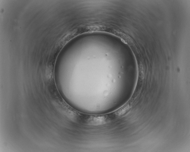 X0000076270665200610122256