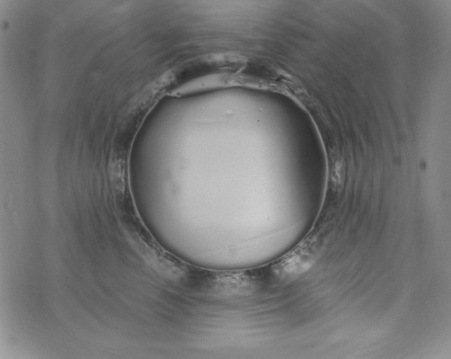 X0000076270666200610122256