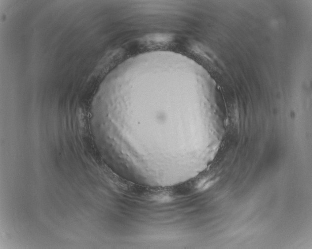 X0000076270667200610122256