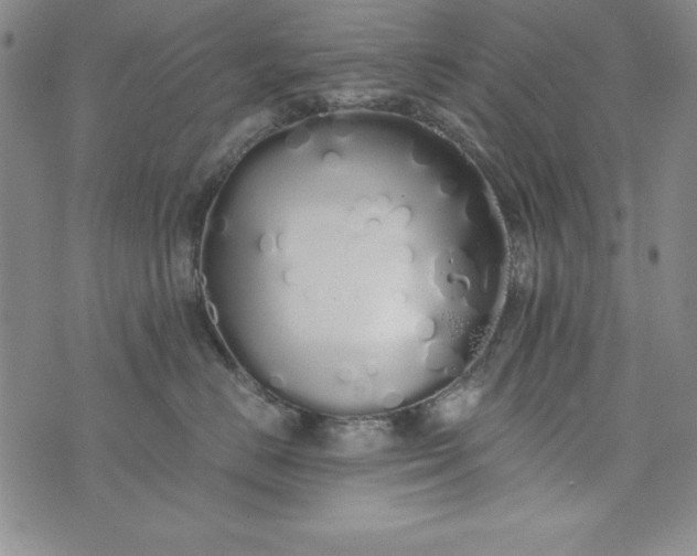 X0000076270670200610122256