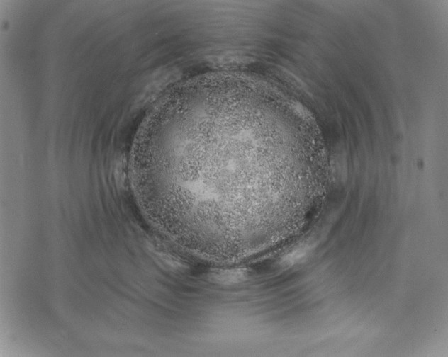 X0000076270671200610122256