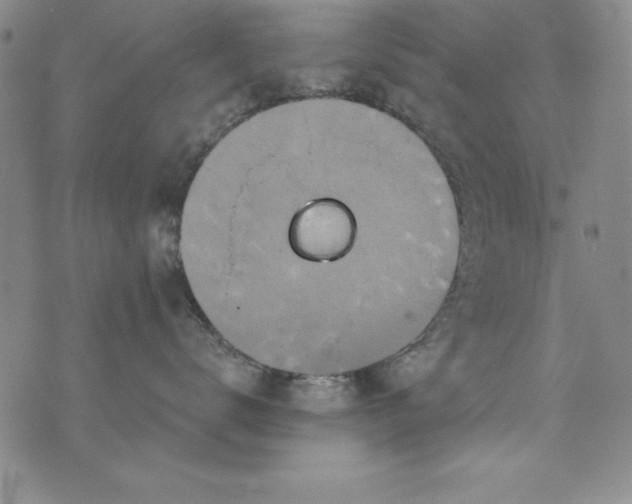 X0000076270672200610122256