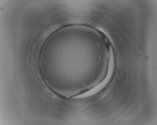 X0000076270673200610122256