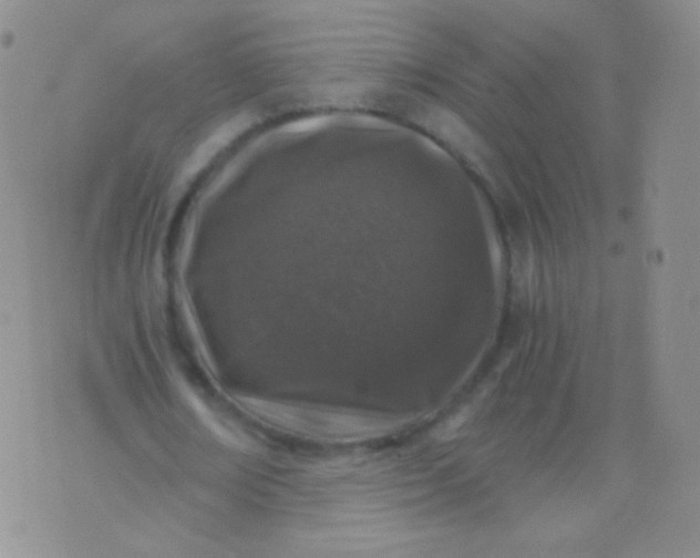 X0000076270674200610122256