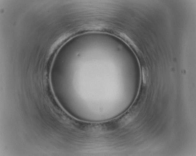 X0000076270675200610122256