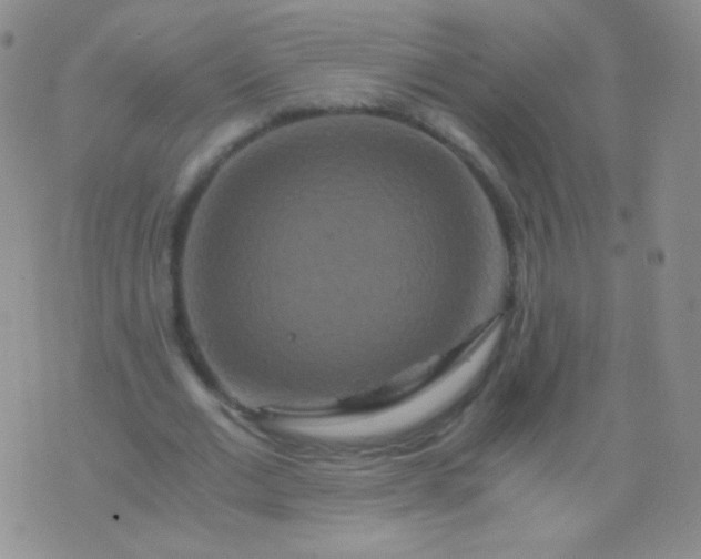 X0000076270677200610122256