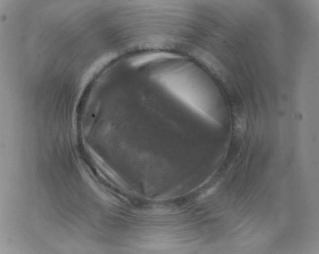 X0000076270678200610122256