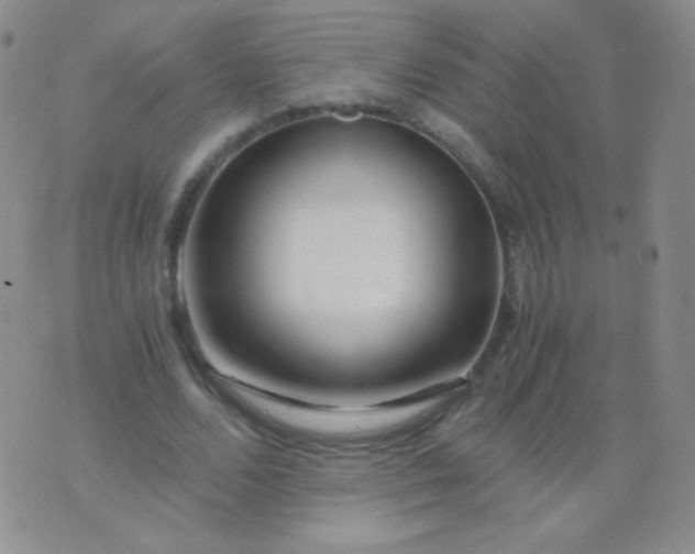 X0000076270680200610122256