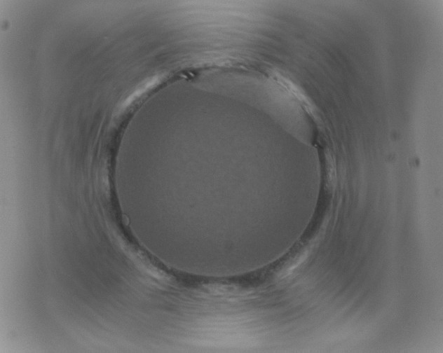 X0000076270681200610122256