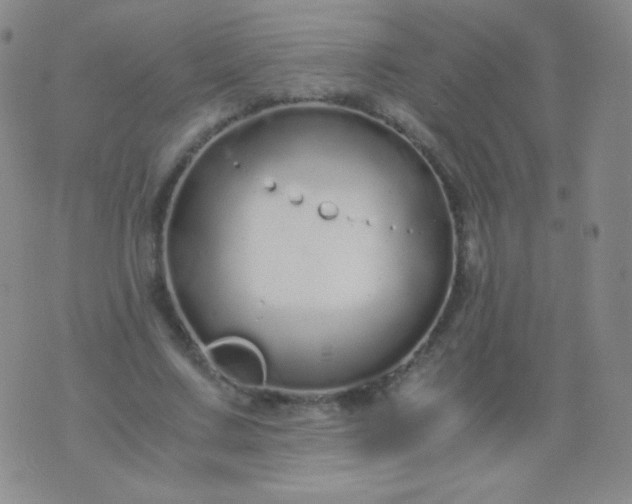 X0000076270683200610122255