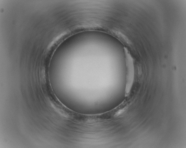 X0000076270684200610122255