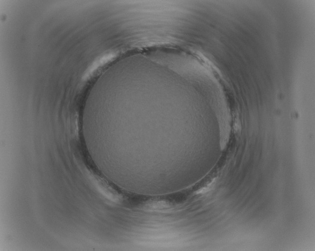 X0000076270685200610122255