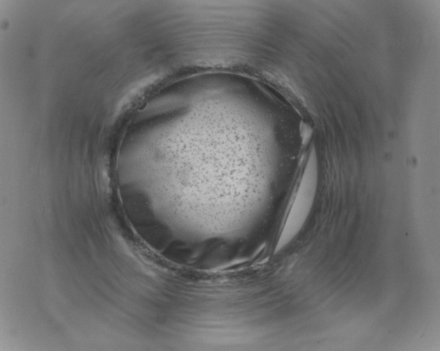 X0000076270688200610122255