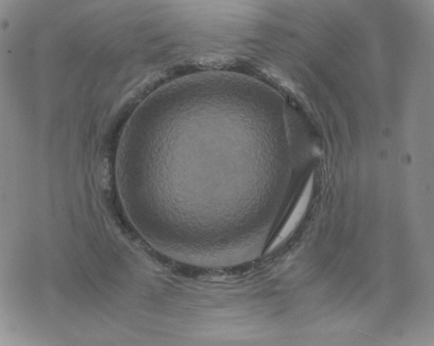 X0000076270689200610122255