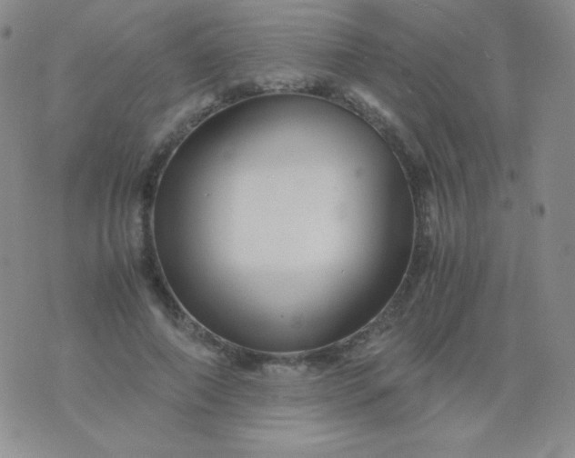 X0000076270690200610122255