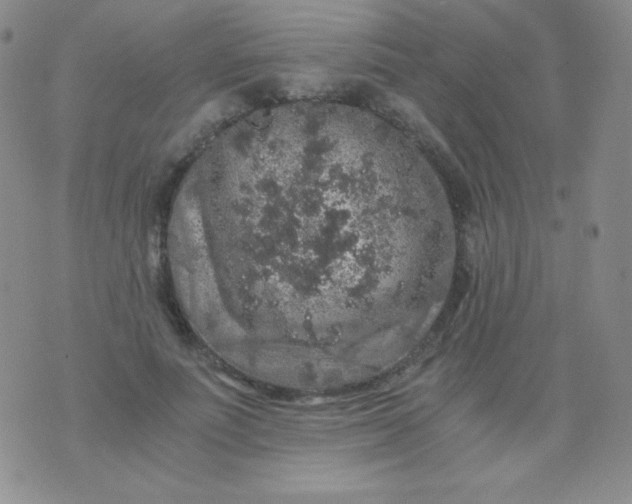 X0000076270691200610122255