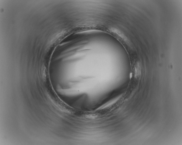 X0000076270692200610122255