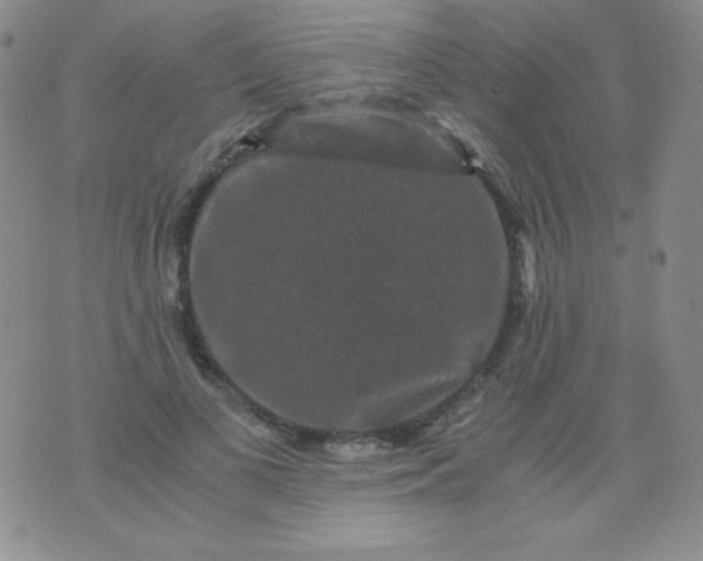 X0000076270693200610122255