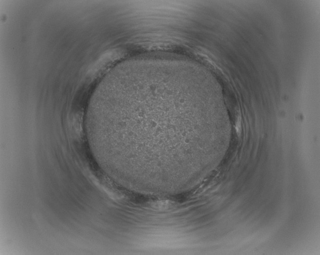 X0000076270695200610122255