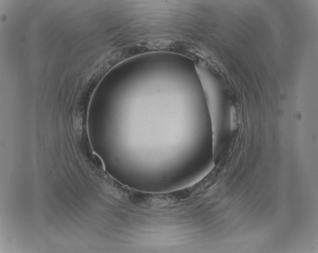 X0000076270697200610122255