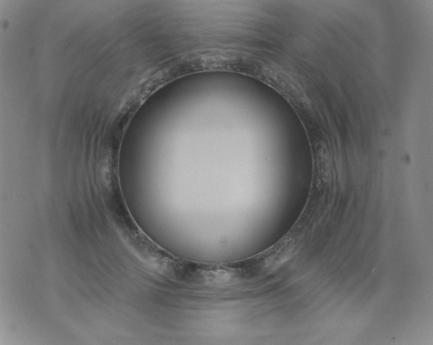 X0000076270698200610122255