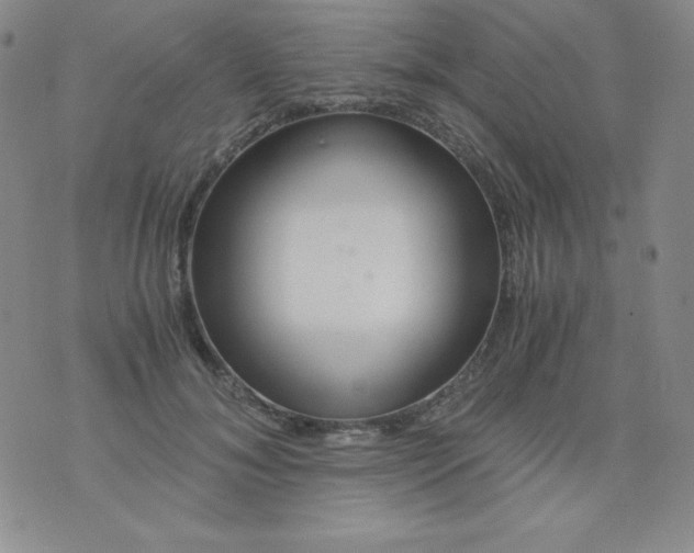 X0000076270700200610122255