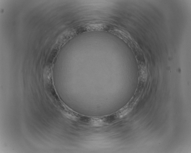 X0000076270701200610122255