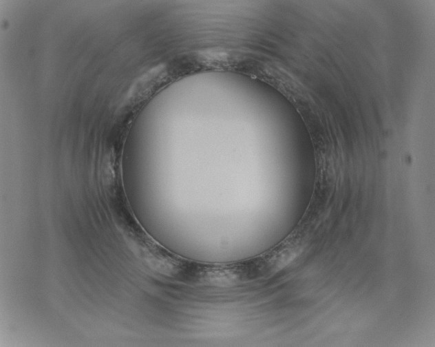 X0000076270702200610122255