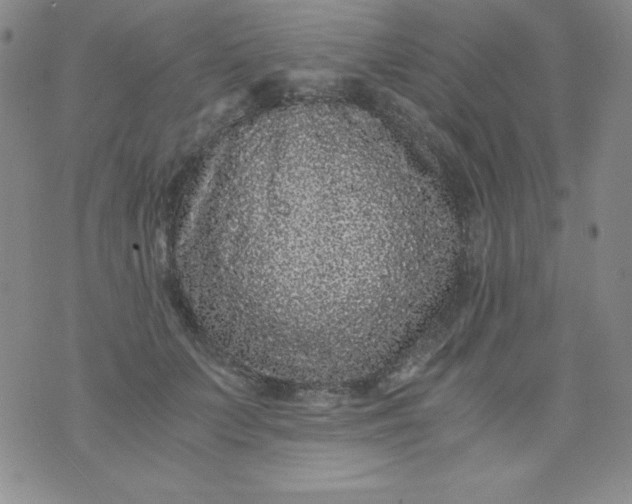 X0000076270703200610122255