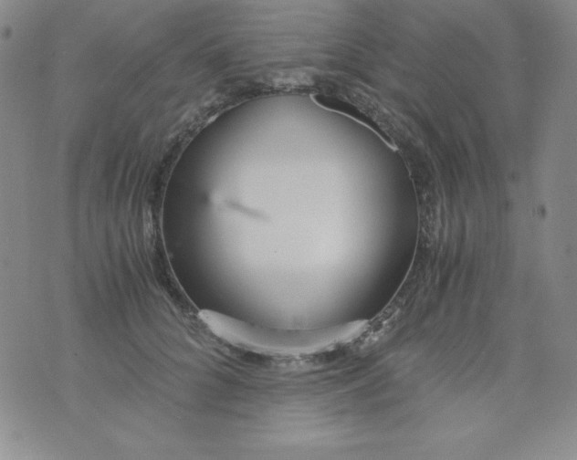 X0000076270704200610122255