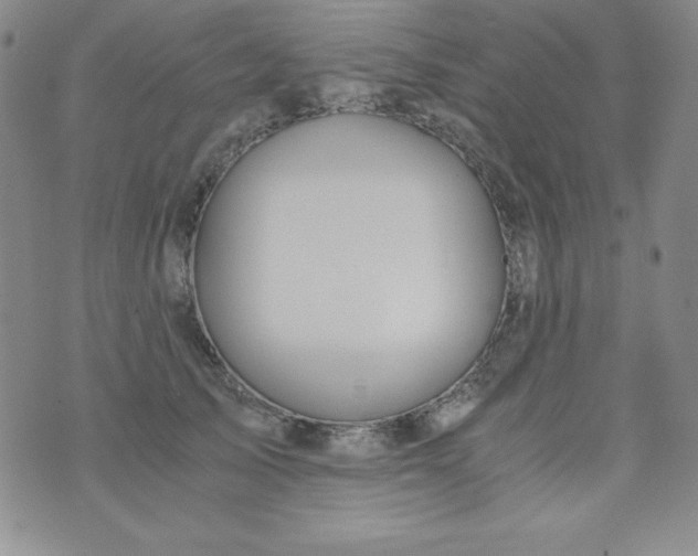 X0000076270705200610122255