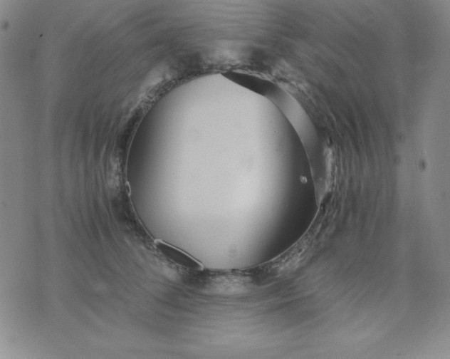 X0000076270708200610122255