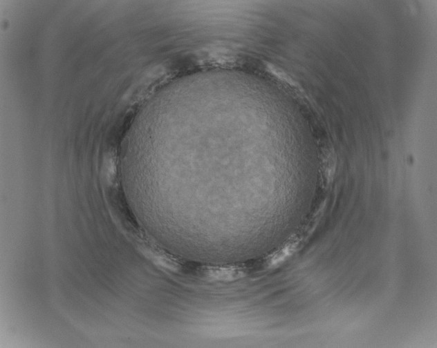 X0000076270709200610122255