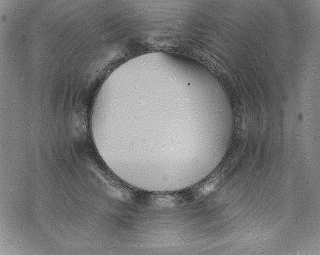 X0000076270710200610122255