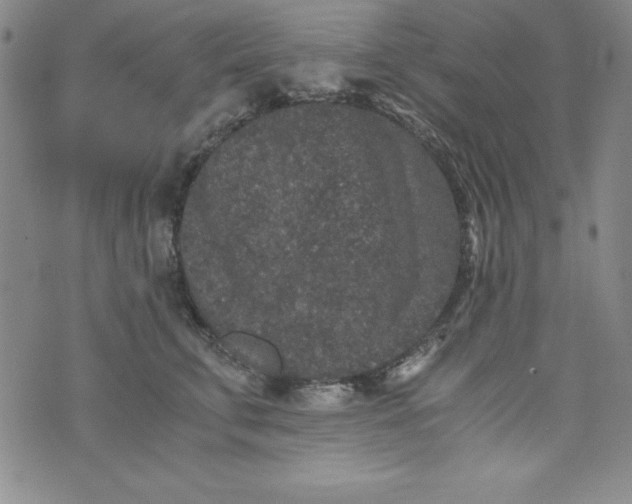 X0000076270711200610122255