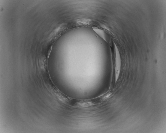 X0000076270712200610122255