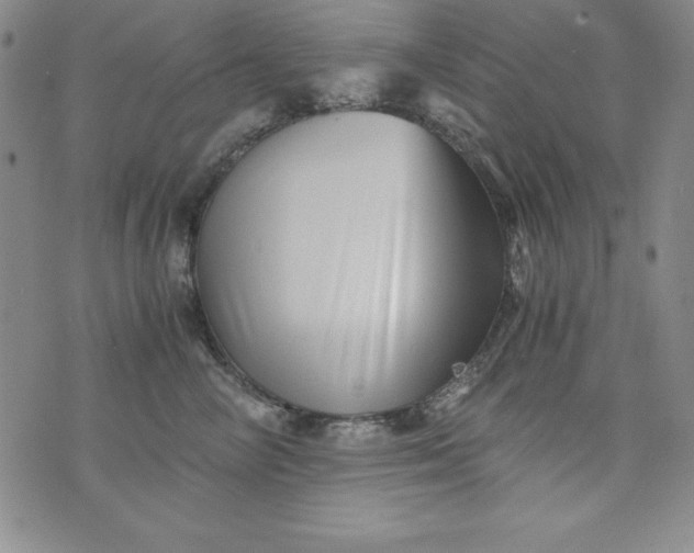 X0000076270714200610122255