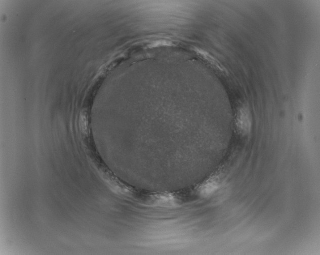 X0000076270715200610122255