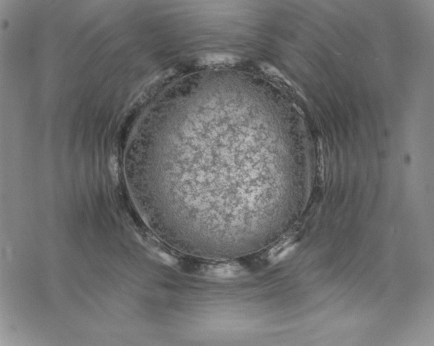 X0000076270716200610122255