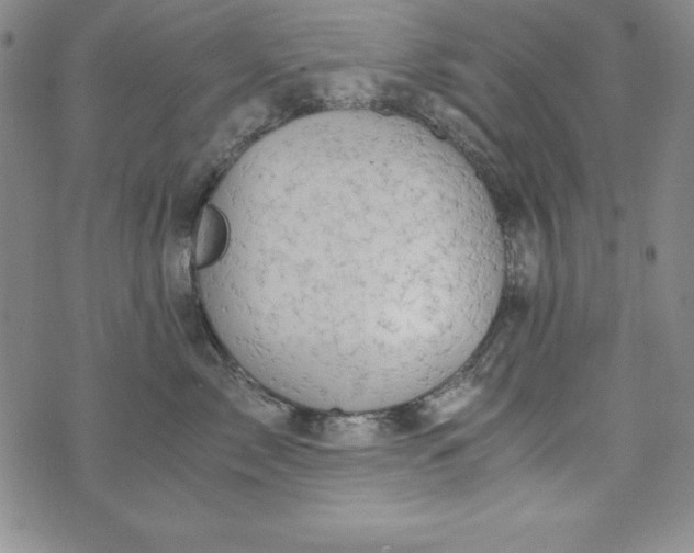 X0000076270717200610122255