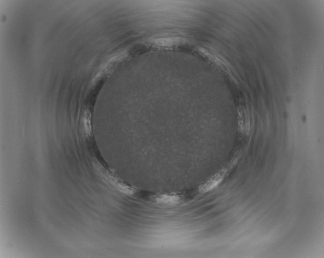 X0000076270718200610122255