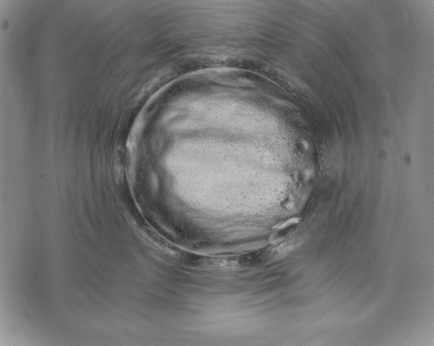 X0000076270719200610122255