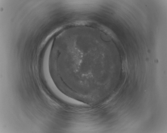 X0000076270722200610122254