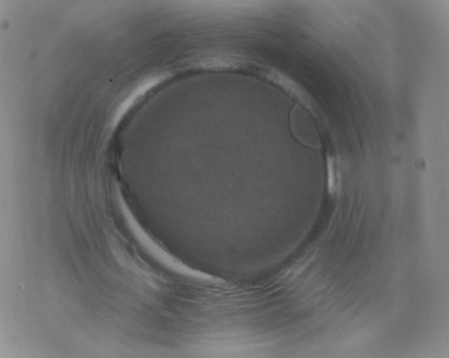 X0000076270723200610122254