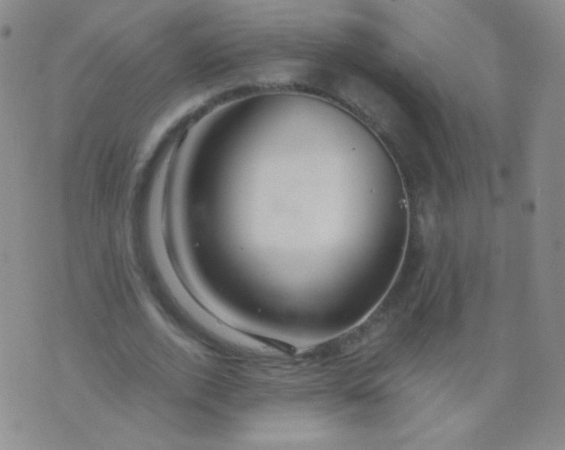 X0000076270728200610122254